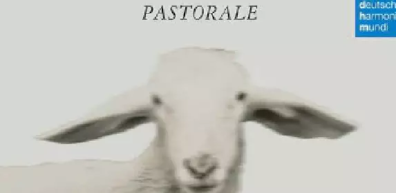 Zusatzbild