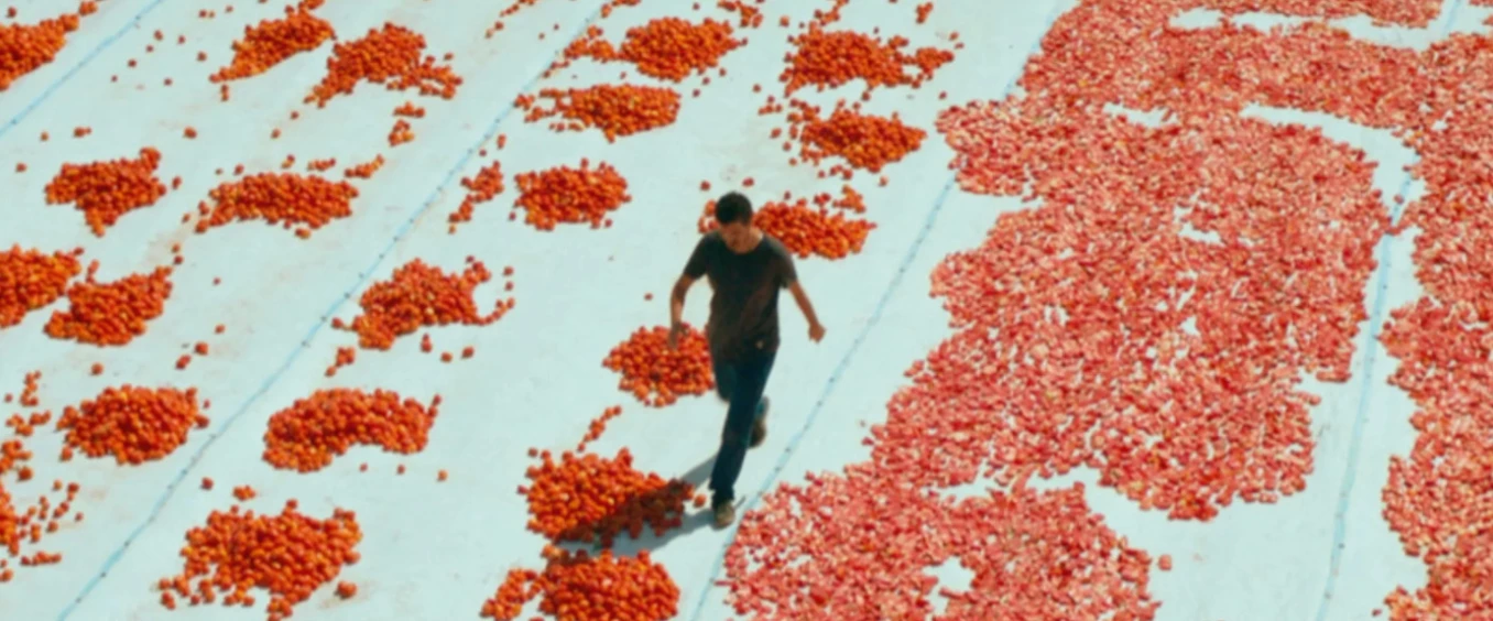 One of Those Days When Hemme Dies (Hemme’nin öldüğü günlerden biri) – Filmforum NRW im Museum Ludwig