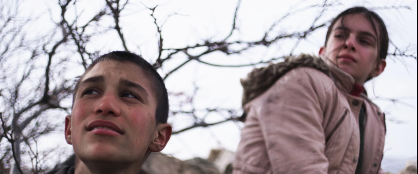 Empire of the Rabbits (Tavşan İmparatorluğu) – Filmforum NRW im Museum Ludwig