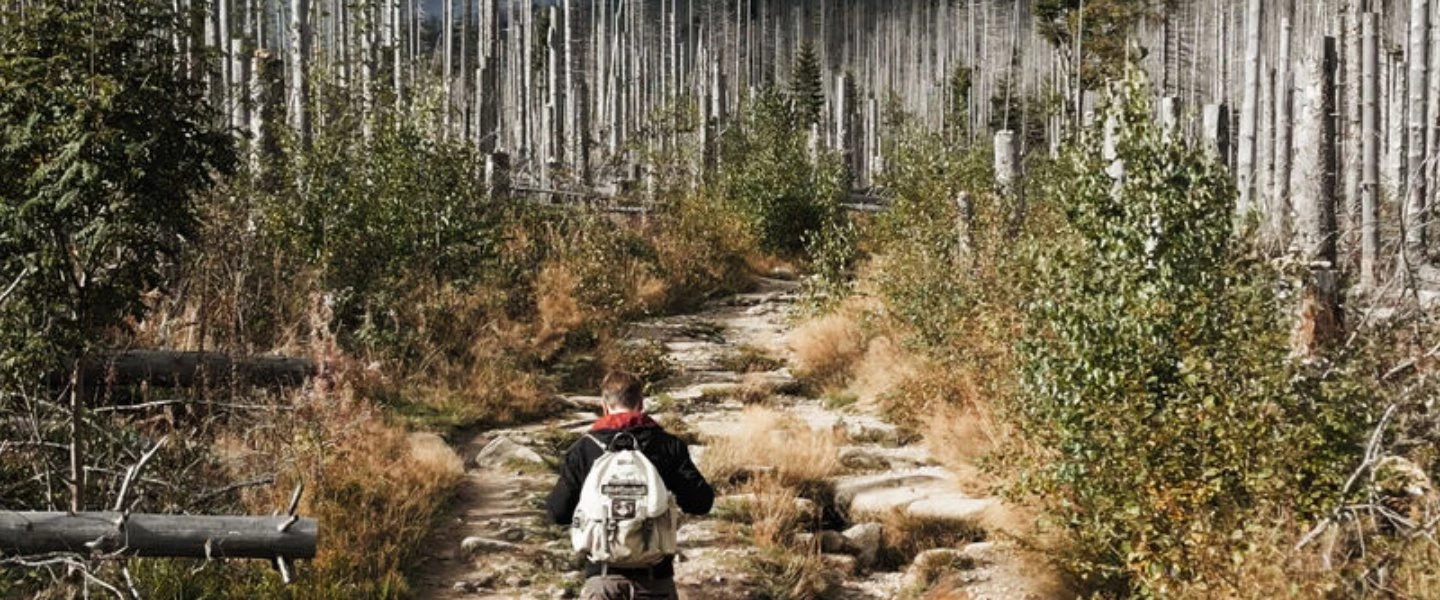 Filmstill: Das Gewicht der Welt 