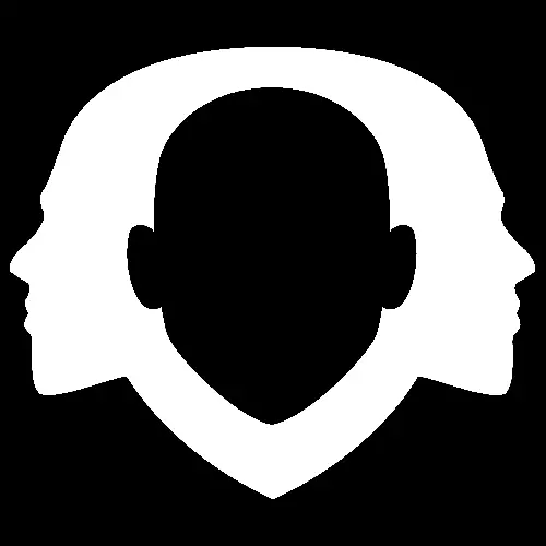 VISION_3