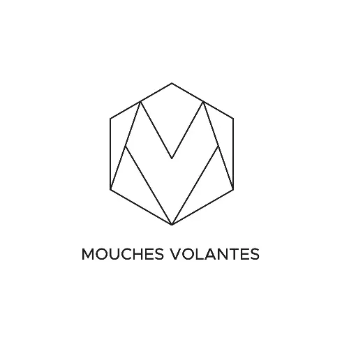 Mouches Volantes